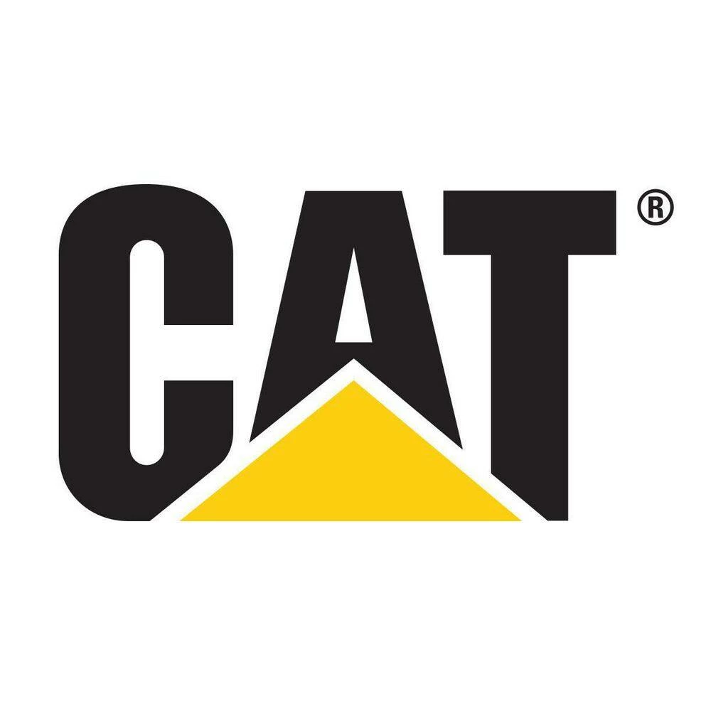 Hot Sale 🔥 CAT 27 ft. x 2 in. 3333 lbs. Heavy-Duty Trailer Tie-Down Strap with Flat Hooks 🛒 - Image 3